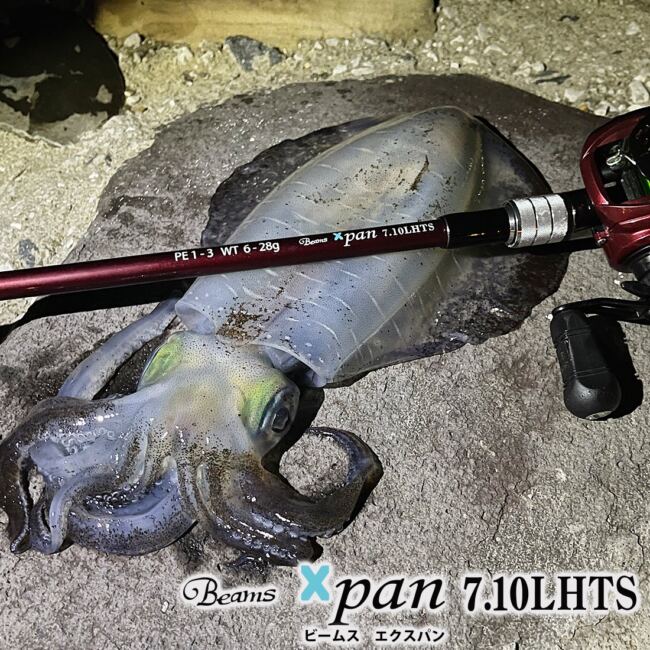 ソルト全般で使えるベイトのテレスコピックロッドがほしー！FishmanXpanとダイワモバイルパックがあるじゃないか